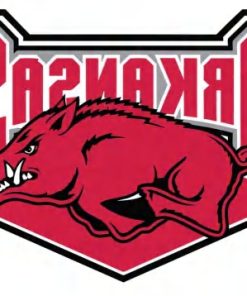 Arkansas Razorbacks icon V478